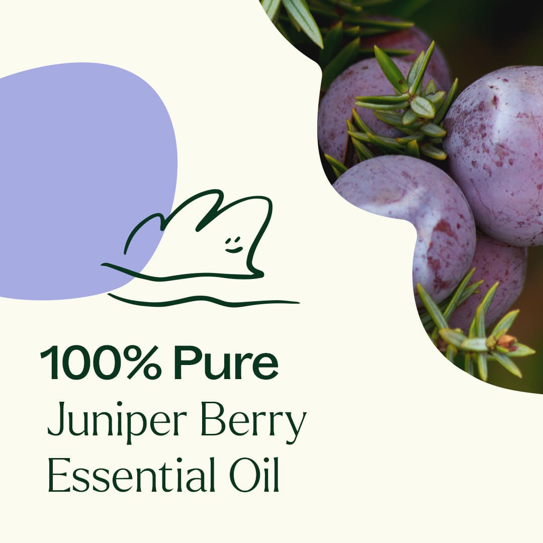 Juniper Berry Essential Oil
