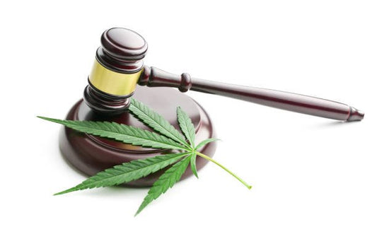 CANNABIS LAWS AND REGULATION - Debsun