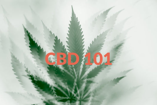 CBD 101 - Debsun