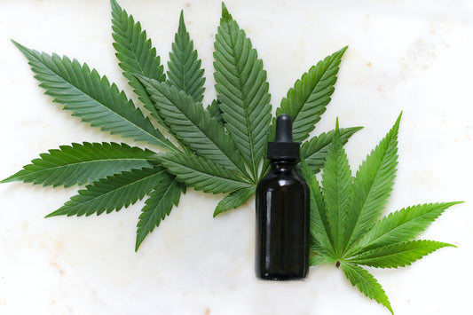 The Rise of CBD as a Natural Remedy for Inflammation and Pain Relief