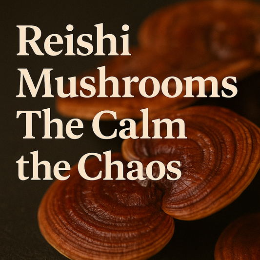 Reishi Mushrooms: The Calm Within the Chaos