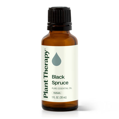 Black Spruce Essential Oil