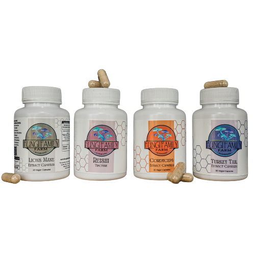 4-Mushroom Capsule Variety Pack – Daily Functional Wellness, Simplified