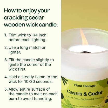 Cassis & Cedar Naturally Scented Candle