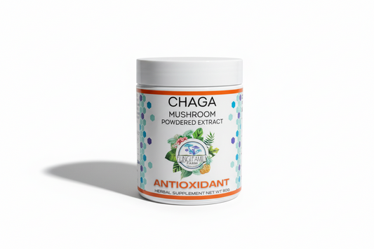 Chaga Mushroom Powder Extract – Inonotus obliquus (2000 mg)