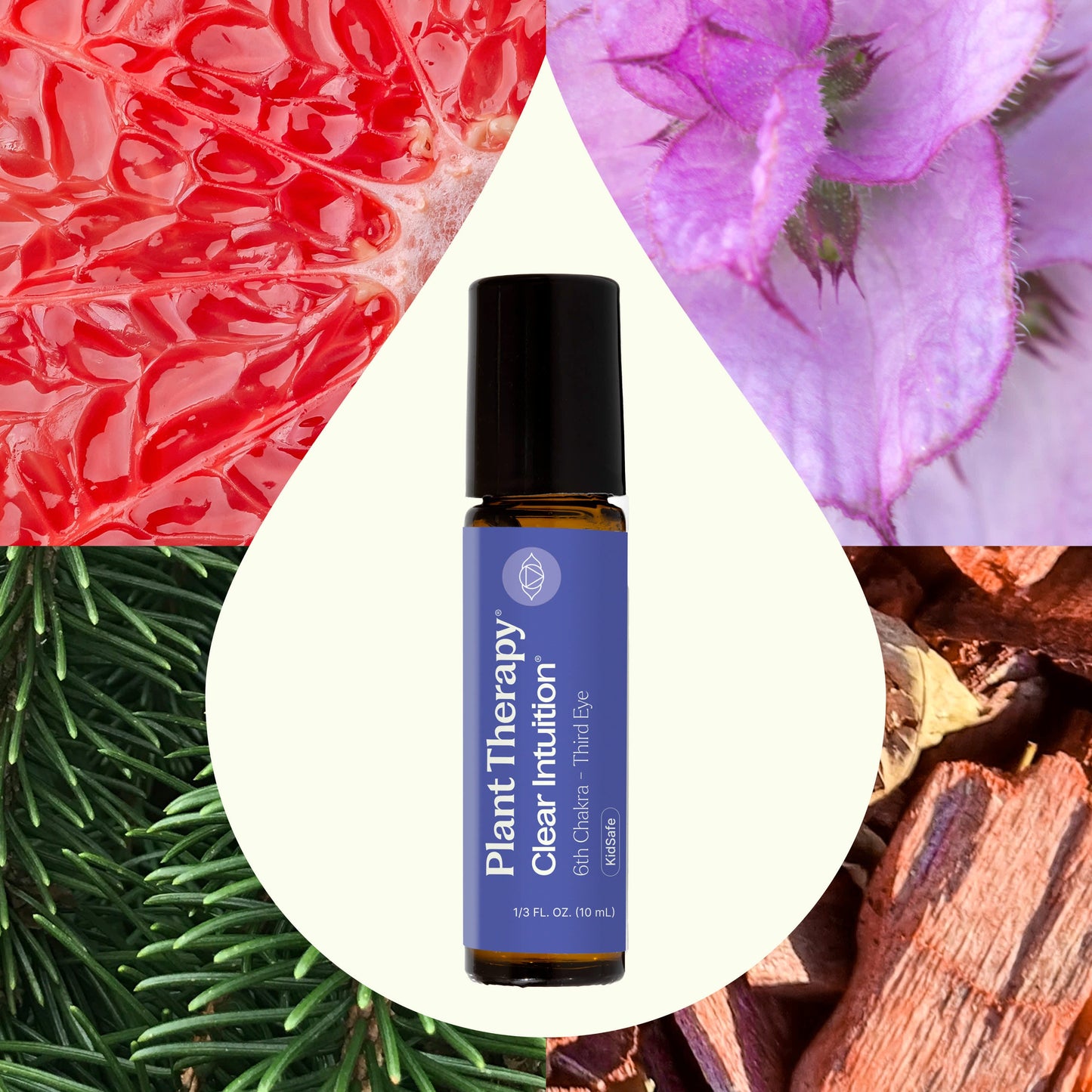 Clear Intuition (Brow Chakra) Pre-Diluted Essential Oil Blend Roll-On 10 mL