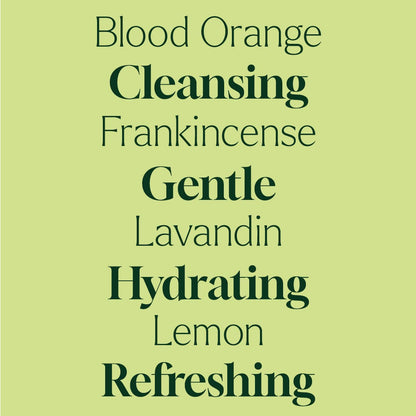 Defender Foaming Hand Soap Refill 1 Gallon