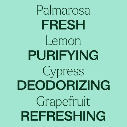 Deodorizing Powder