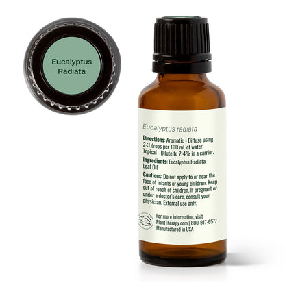 Eucalyptus Radiata Essential Oil