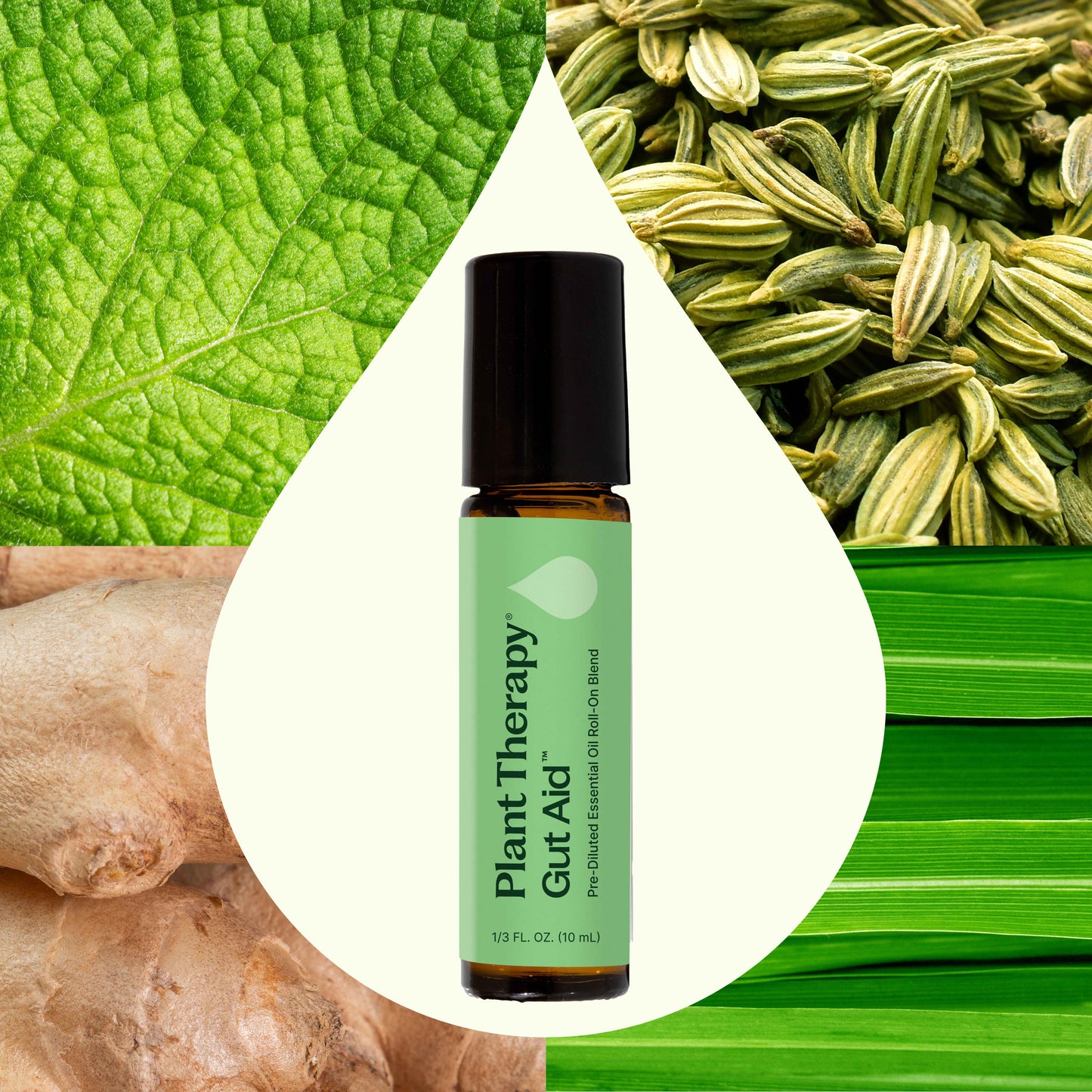 Gut Aid™ Essential Oil Blend Pre-Diluted Roll-On
