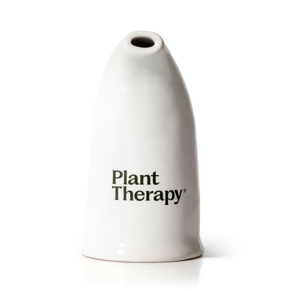 Himalayan Salt Inhaler