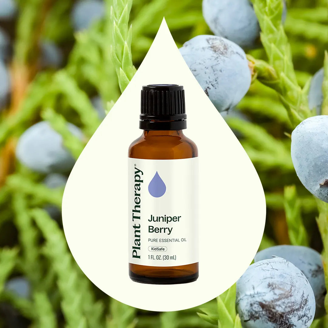 Juniper Berry Essential Oil