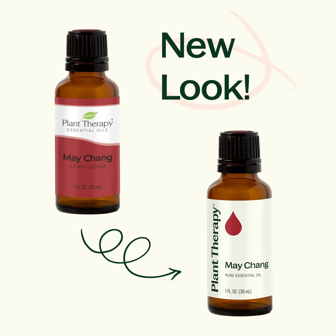 May Chang Essential Oil