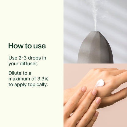 Organic Basil Linalool Essential Oil