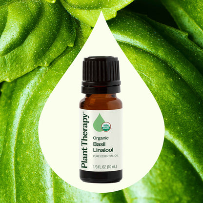 Organic Basil Linalool Essential Oil