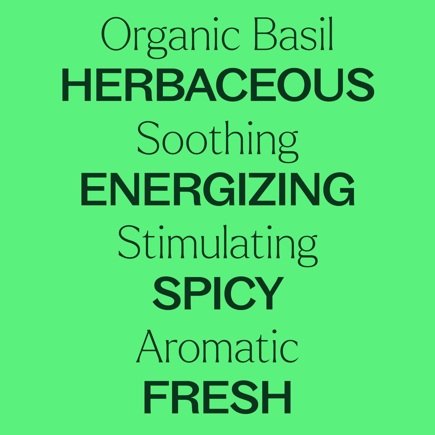 Organic Basil Linalool Essential Oil