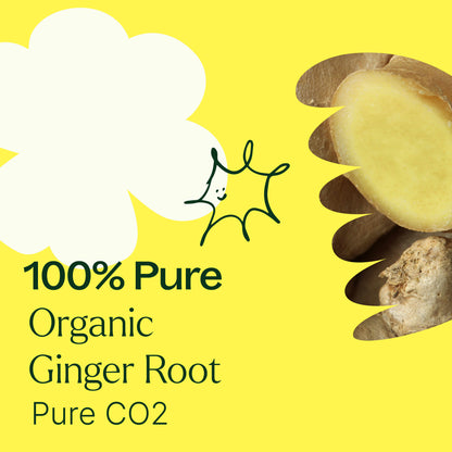 Organic Ginger Root CO2