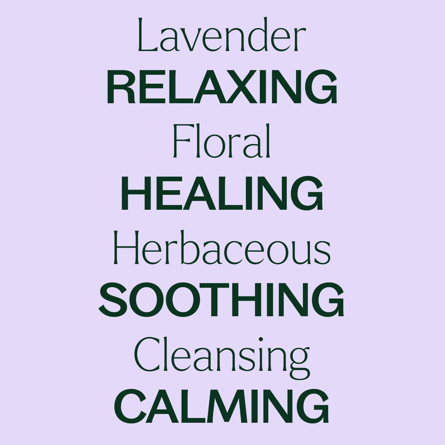 Organic Lavender 5-Pack