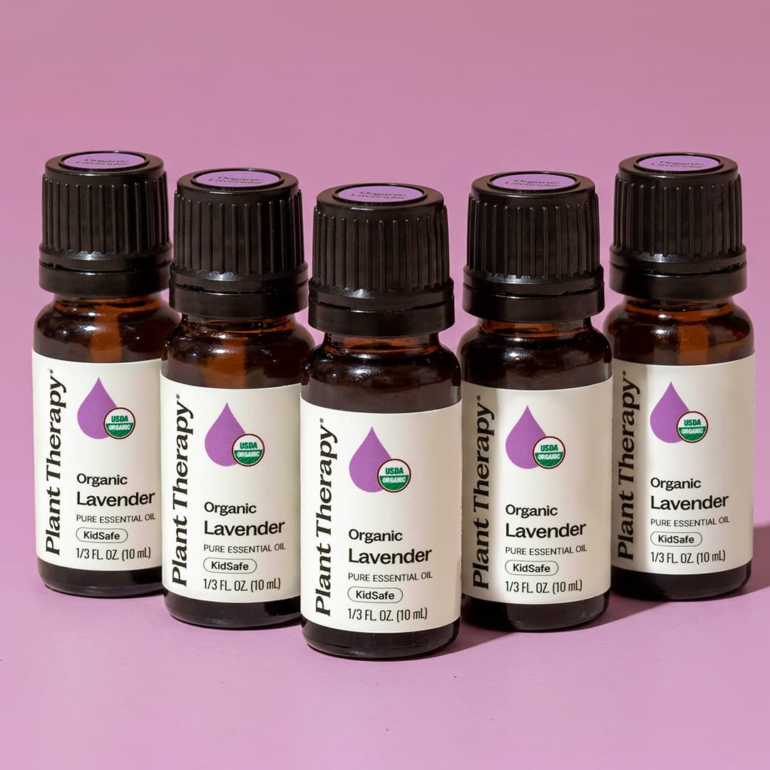 Organic Lavender 5-Pack