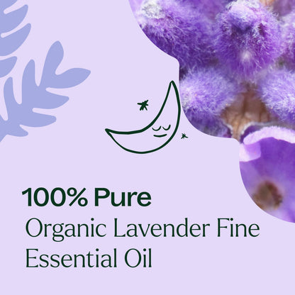Organic Lavender Fine Essential Oil