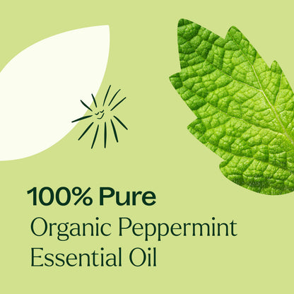 Organic Peppermint 5-Pack