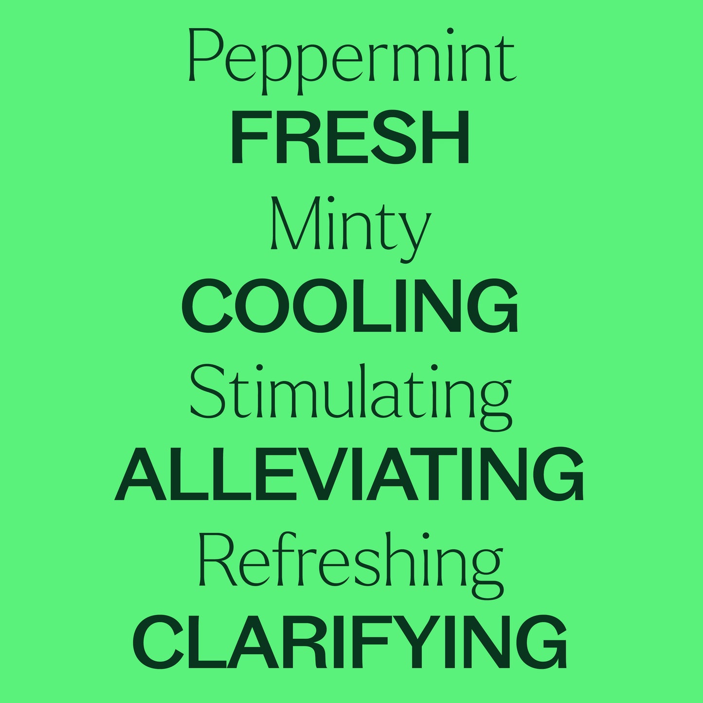 Organic Peppermint 5-Pack